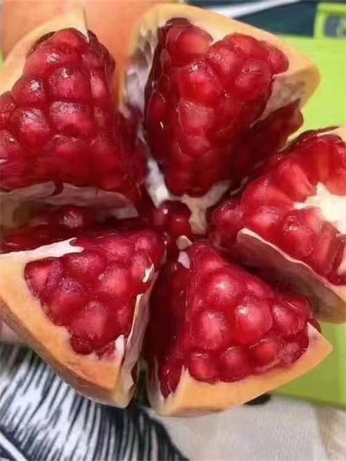 軟籽石榴